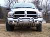 Beast-front.JPG