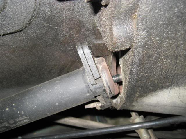 Name: IMG_0261Medium.jpg
Views: 100
Size: 55.1 KB