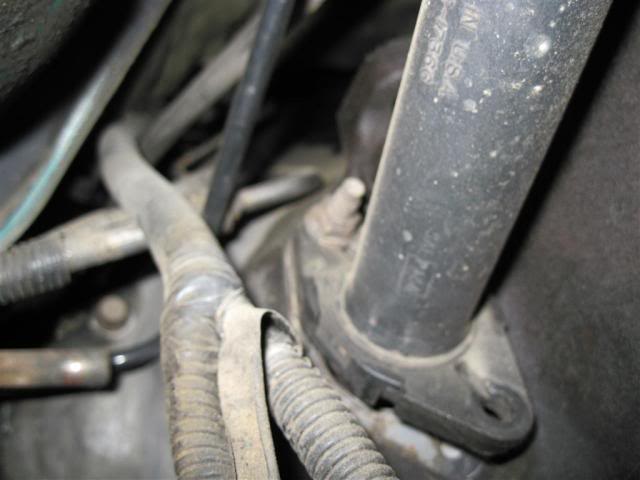 Name:  IMG_0262Medium.jpg
Views: 96
Size:  34.3 KB
