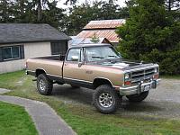 What color ?-moose01.jpg