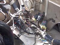 identify this-000_0486a.jpg