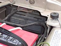 identify this-000_0487.jpg