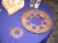 found the carnage-p1020605.jpg