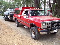 Look at what followed me home-100_1330.jpg