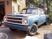 Look at what followed me home-80-crew-005.jpg