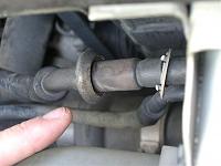 What do you need to know?-imgp2772.jpg