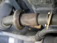 What do you need to know?-imgp2769.jpg