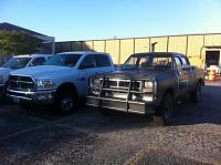 25 Years of Evolution-newold.jpg