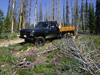 93 Flatbed....hiking, wood hauling, summer fun....-dsc02370.jpg