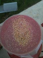 Cummins 4x2 to 4x4 Conversion-46.jpg