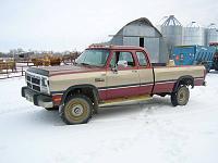 New Owner &amp; A Road Trip Story-mintcummins-.jpeg