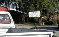 What do you think?-dodge-pu.jpg