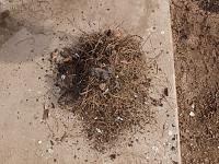 Cleaning the HVAC box, with a TWIST-garbage-plenum.jpg