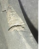 rear leaf spring issues-rear-hanger.jpg