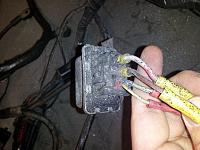 Relay Pig Tail-20131209_182500.jpg