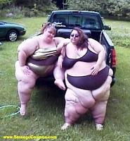 Attempting to save a dodge...-fat-chicks.jpeg