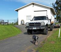 4" lift for my 1992 white "Elephant" flat bed-wht-truck.jpg