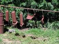 1990 D250 to W250-100_5510.jpg