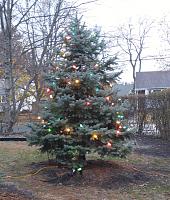 What did you do to your Gen 1 today?-1128151533.jpg