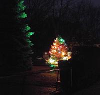 What did you do to your Gen 1 today?-1128151706.jpg