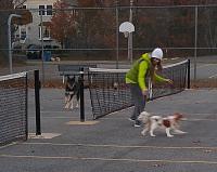 What did you do to your Gen 1 today?-1127151625b.jpg