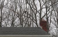 What did you do to your Gen 1 today?-img_0841.jpg