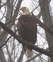 What did you do to your Gen 1 today?-img_0843.jpg