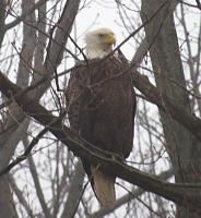 What did you do to your Gen 1 today?-img_0837.jpg