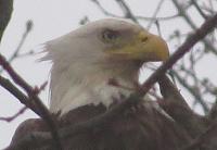 What did you do to your Gen 1 today?-img_0847.jpg