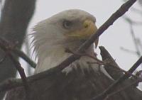 What did you do to your Gen 1 today?-img_0848.jpg