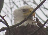 What did you do to your Gen 1 today?-img_0849.jpg