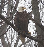 What did you do to your Gen 1 today?-img_0835.jpg