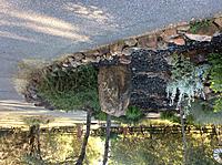 What did you do to your Gen 1 today?-image.jpg