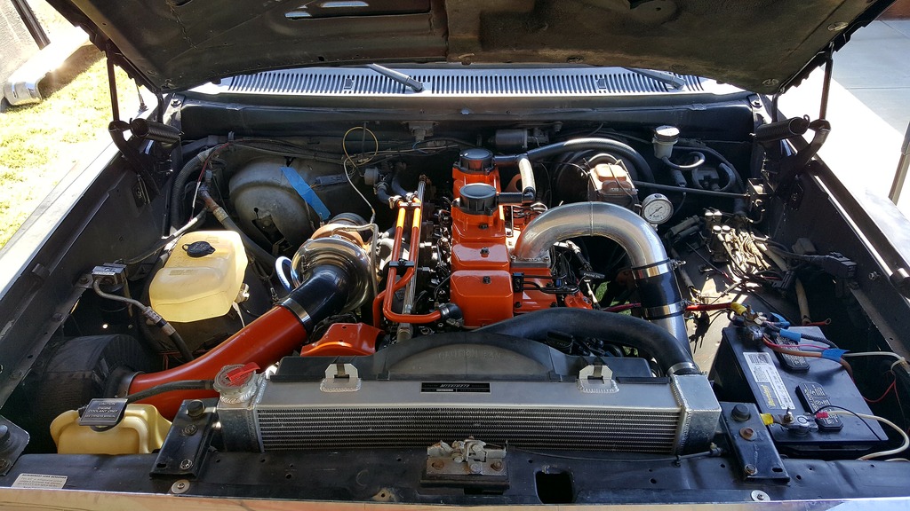 Name:  20170624_162131_zpstcrdrzvf.jpg
Views: 129
Size:  217.2 KB