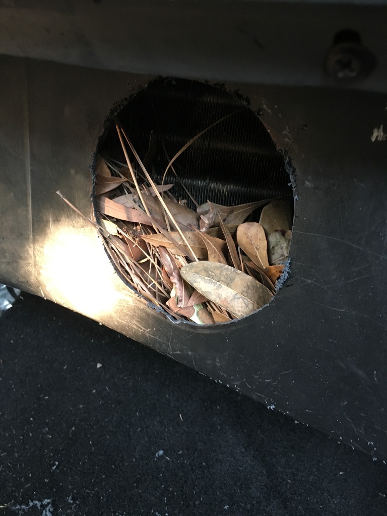 Name:  6F955D59-407D-41F9-BC8E-01B3A499EEF0_zpsxxxwyhsu.jpg
Views: 133
Size:  173.3 KB