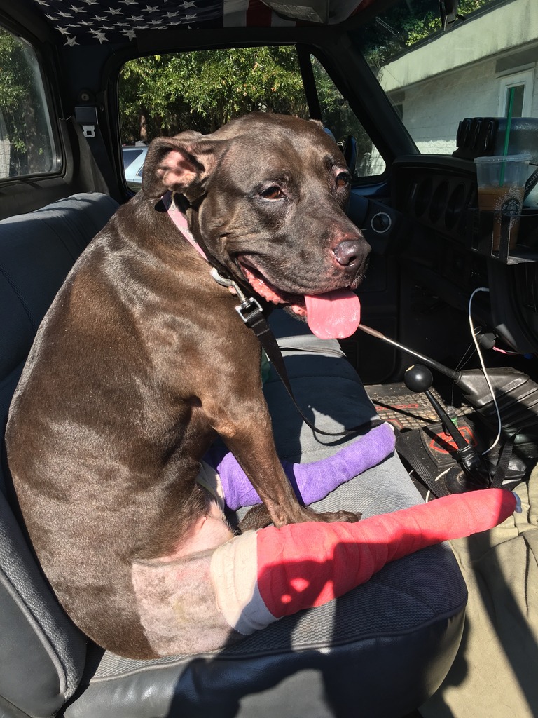 Name:  566878EF-BA92-418A-B8FE-A57EDFADC4B5_zpsbabnjjgp.jpg
Views: 79
Size:  282.6 KB