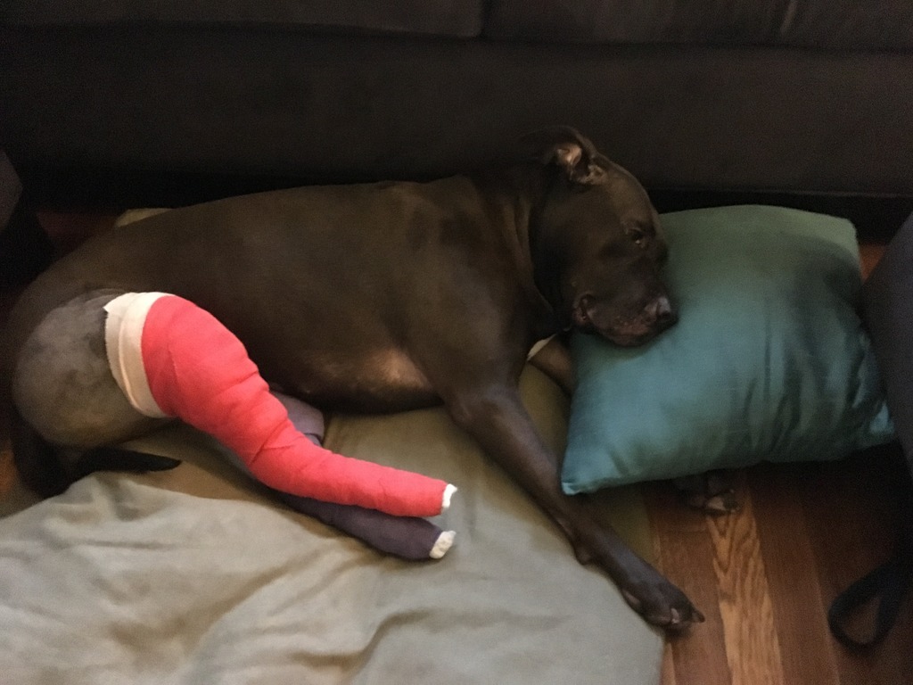 Name:  D6554B23-7B25-48A6-9EA5-CFB9BE9BF7D7_zpsqcn5p8ux.jpg
Views: 107
Size:  160.9 KB