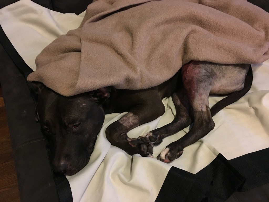 Name:  8EA9E034-40C4-45BE-BB0D-56533406E8A7_zpsunr5deeo.jpg
Views: 109
Size:  176.6 KB