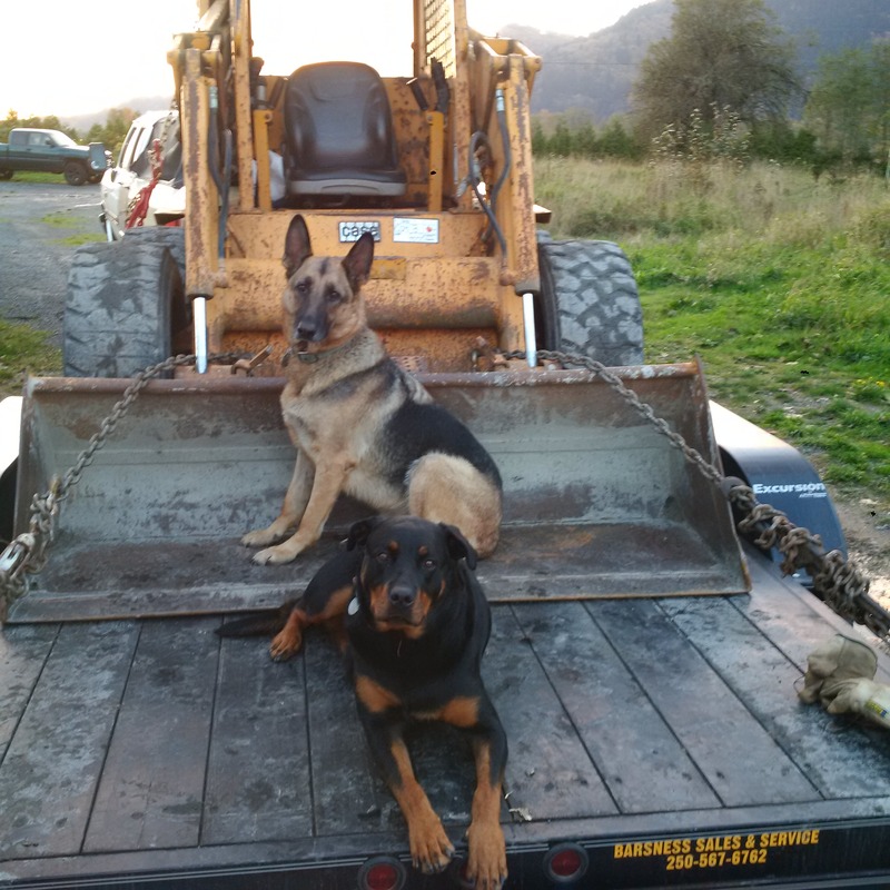 Name:  IMG_20161020_180049_zpsvhljsh5g.jpg
Views: 320
Size:  180.7 KB