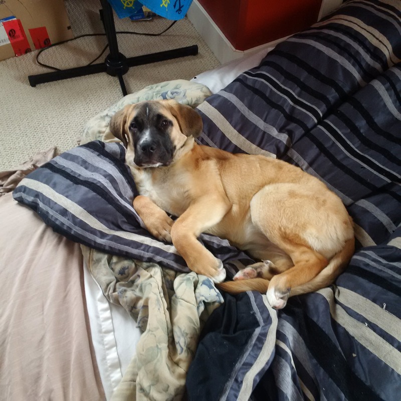 Name:  IMG_20161015_142915_zps4tnlwuyu.jpg
Views: 406
Size:  176.2 KB