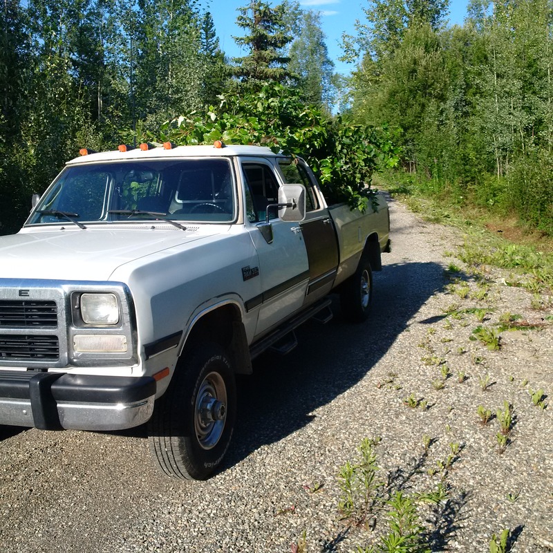 Name:  IMG_20160716_185403_zpsio5nkvjq.jpg
Views: 419
Size:  322.1 KB