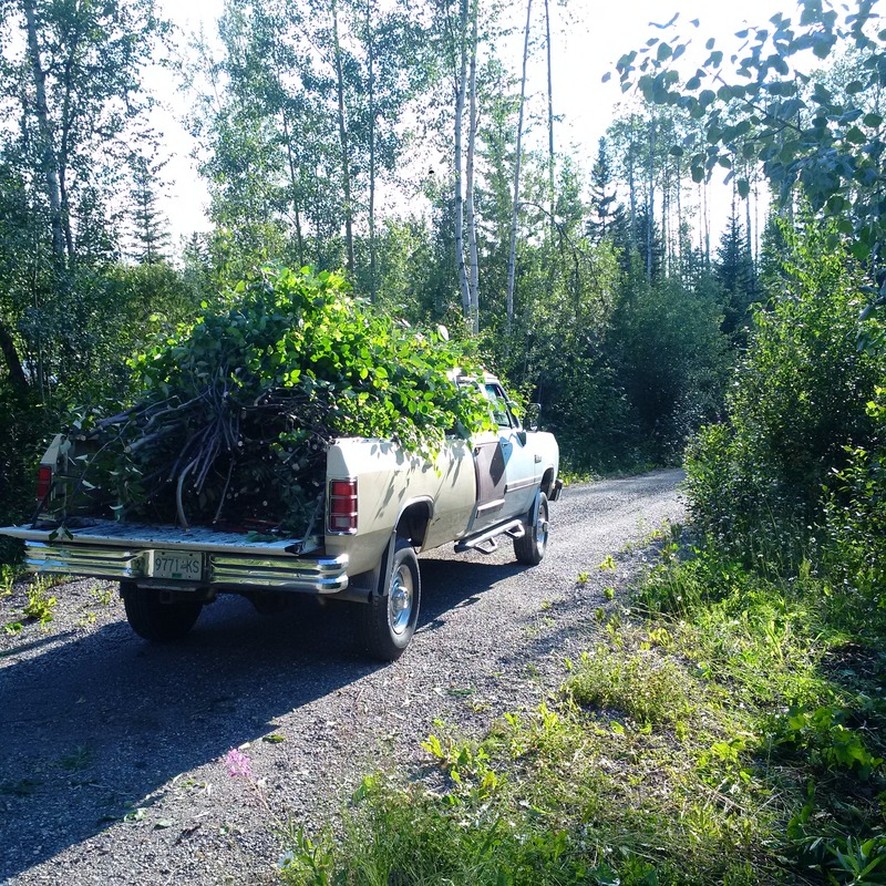 Name:  IMG_20160716_185443_zpshaeiy6a7.jpg
Views: 394
Size:  378.4 KB