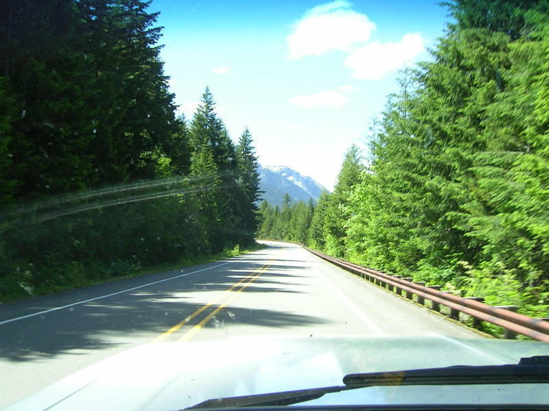 Name:  PICT0025_zpsacaolz98.jpg
Views: 350
Size:  181.7 KB