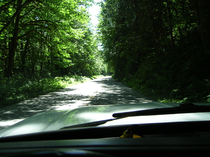 Name:  PICT0028_zps2t2wzn9a.jpg
Views: 336
Size:  191.7 KB