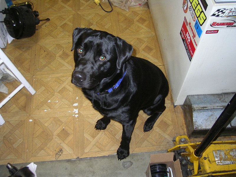 Name:  PICT0002_zpsuguxykny.jpg
Views: 130
Size:  183.7 KB