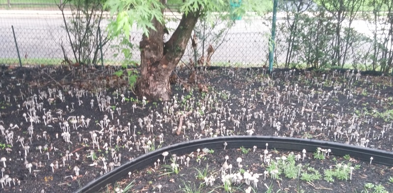 Name:  0619150659_zps44wtdmoh.jpg
Views: 77
Size:  219.6 KB