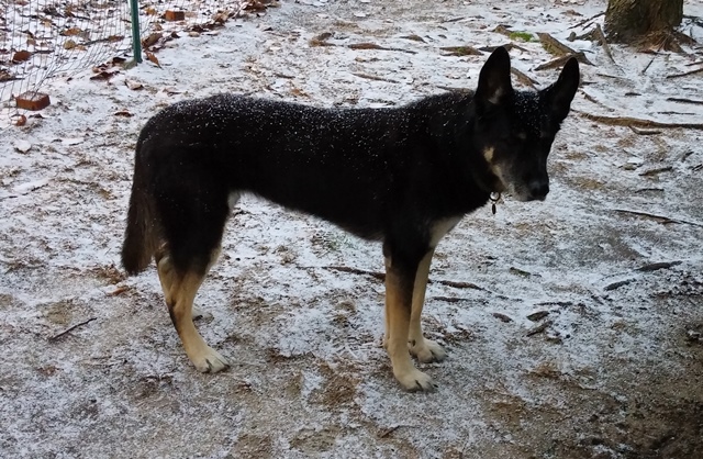 Name:  1211141600_zpsa8dd8457.jpg
Views: 66
Size:  195.9 KB