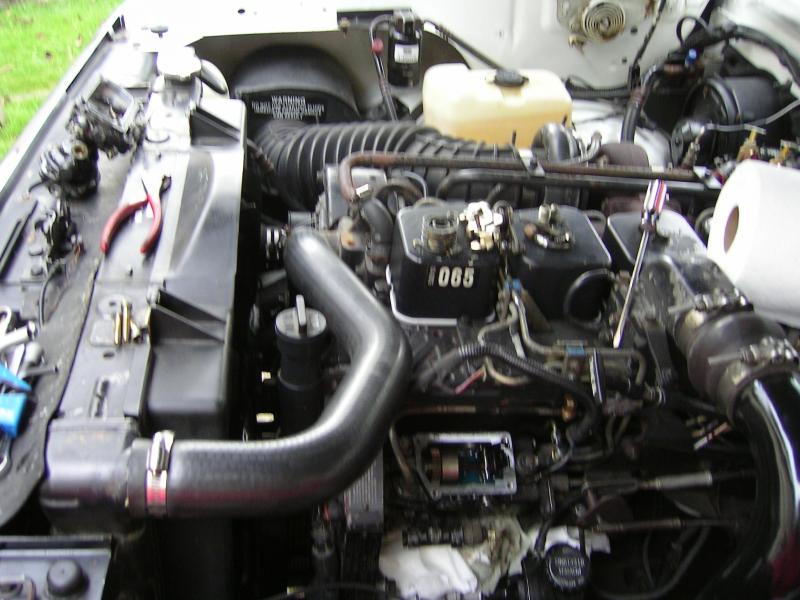 Name:  PICT0323_zps06811966.jpg
Views: 554
Size:  71.7 KB