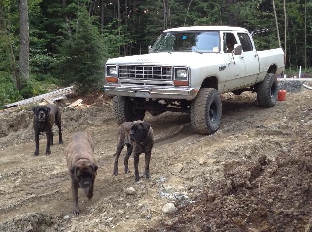 Name:  034aaeb1-9f3b-497a-8862-939096eec299_zpsee9824ac.jpg
Views: 321
Size:  284.7 KB