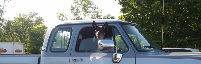 Name:  0616141709_zps5dbd1091.jpg
Views: 126
Size:  69.5 KB